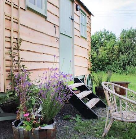 The Shepherds Hut 什鲁斯伯里 外观 照片