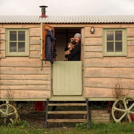 The Shepherds Hut 什鲁斯伯里 外观 照片